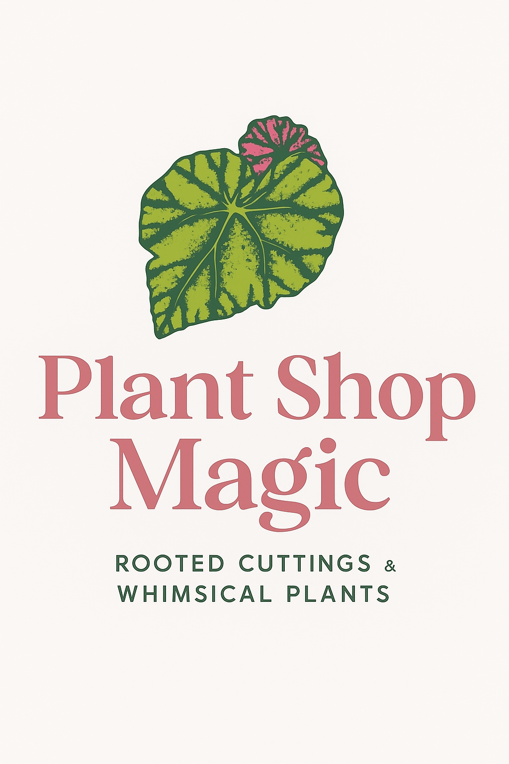 Mystery rooted cutting in premium sphagnum moss gift-ready packaging