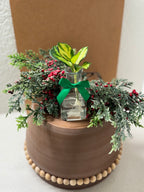 Hoya Australis rooted cutting in clear glass propagation jar with visible roots
