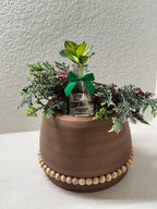Close-up of Hoya Australis leaves and healthy root system
