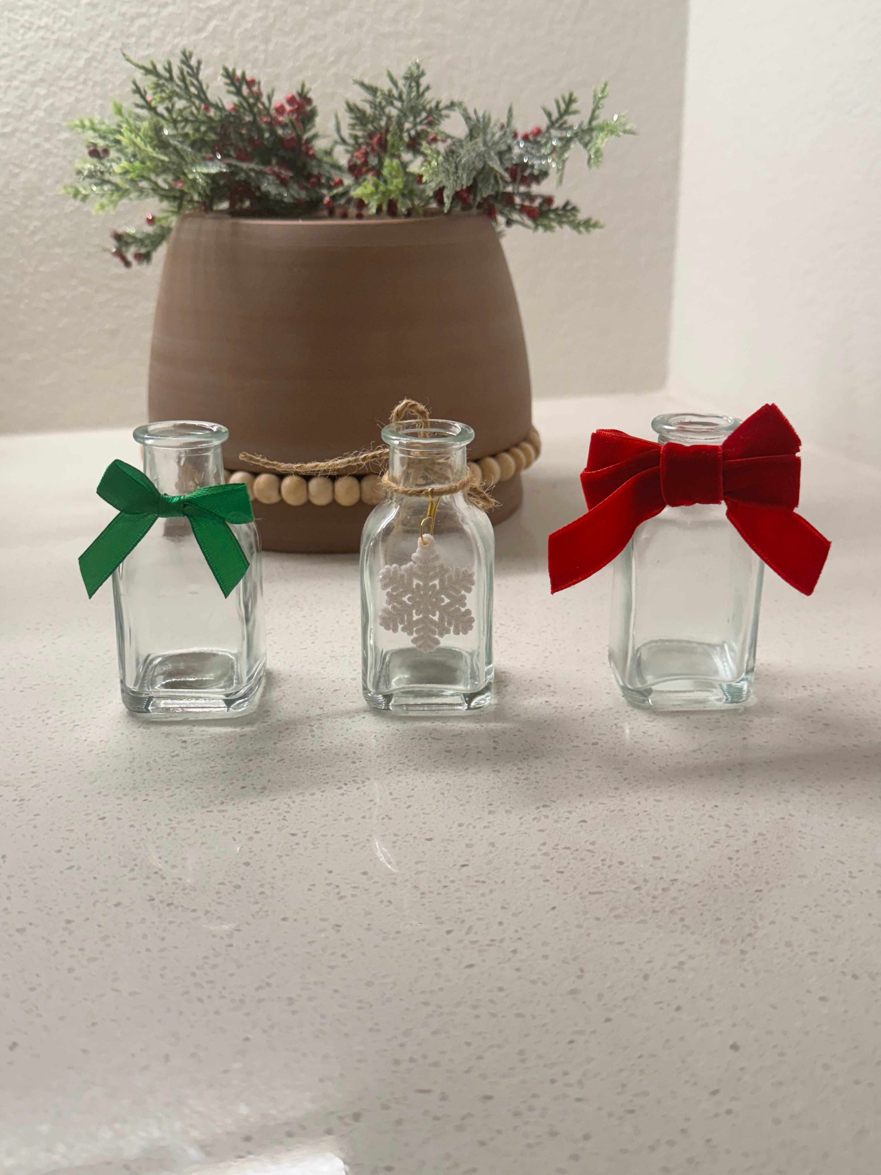 Mystery rooted cutting and glass propagation jar combo gift set with bow option
